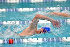 Swimming & Diving vs Babson  Swimming & Diving vs Babson College. - Photo by Keith Nordstrom : Wheaton, Swimming